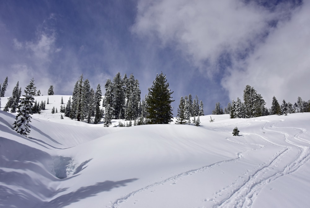 things to do in Lassen national park this winter