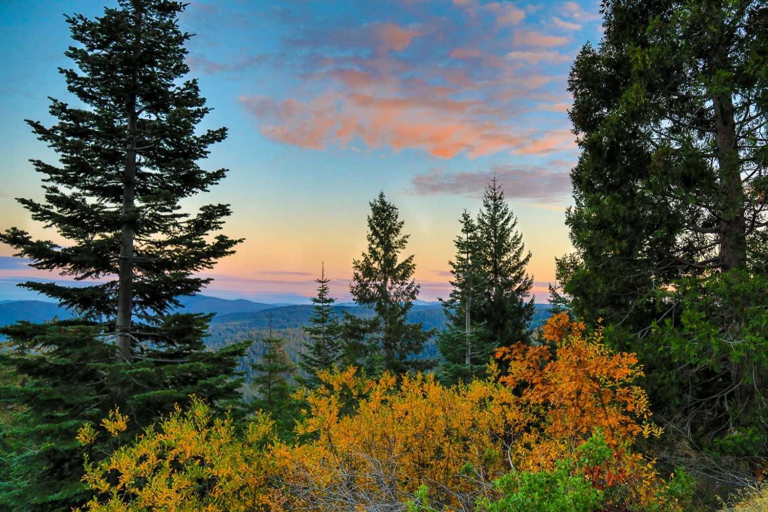  Fall Colors in Northern Calfornia at Bucks Summit with beautiful views