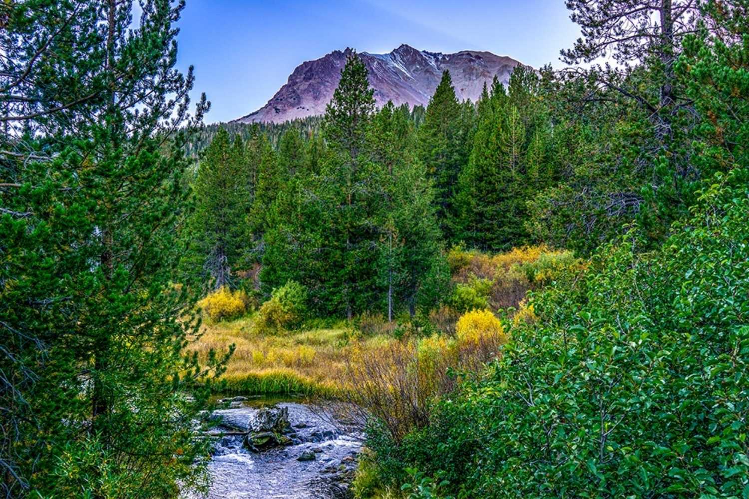 Fall colors starting at Hat Creek with Lassen Peak in the background