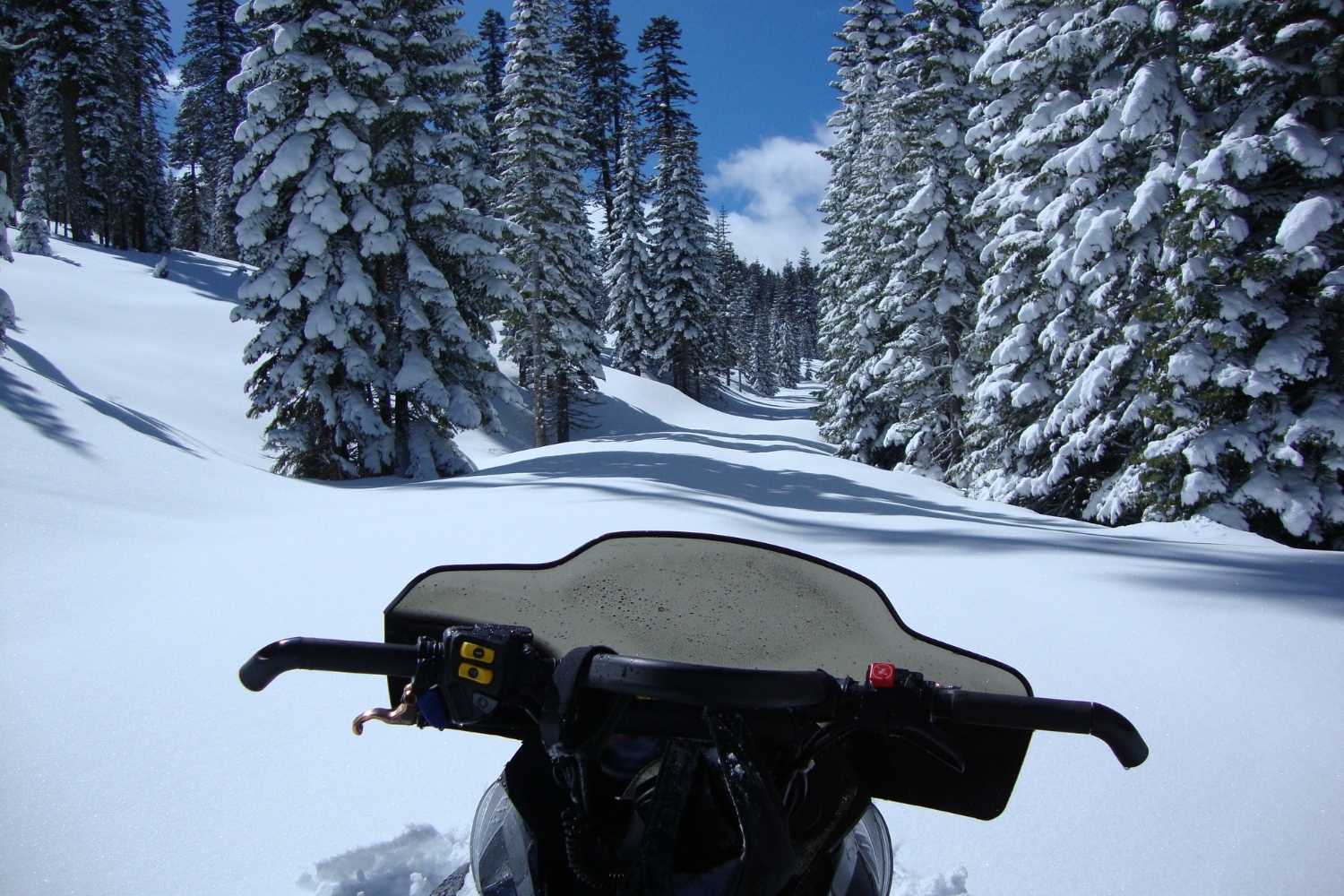View of trail with fresh snow from snowmobile