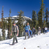 Winter Weekend Events: Rangler-led snowshoe walk