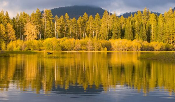 In late September and early October, the leaves in Plumas County begin transforming to create stunning natural beauty. The California fall colors are beautiful!