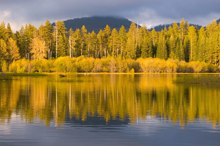 In late September and early October, the leaves in Plumas County begin transforming to create stunning natural beauty. The California fall colors are beautiful!