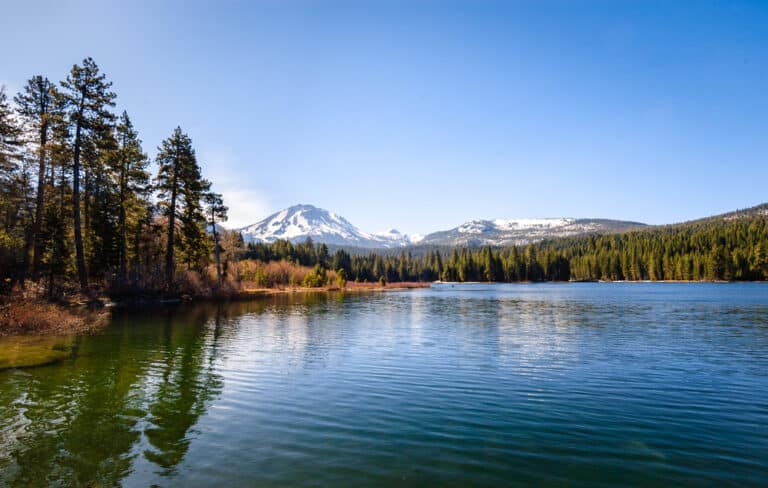 National Parks in Northern California