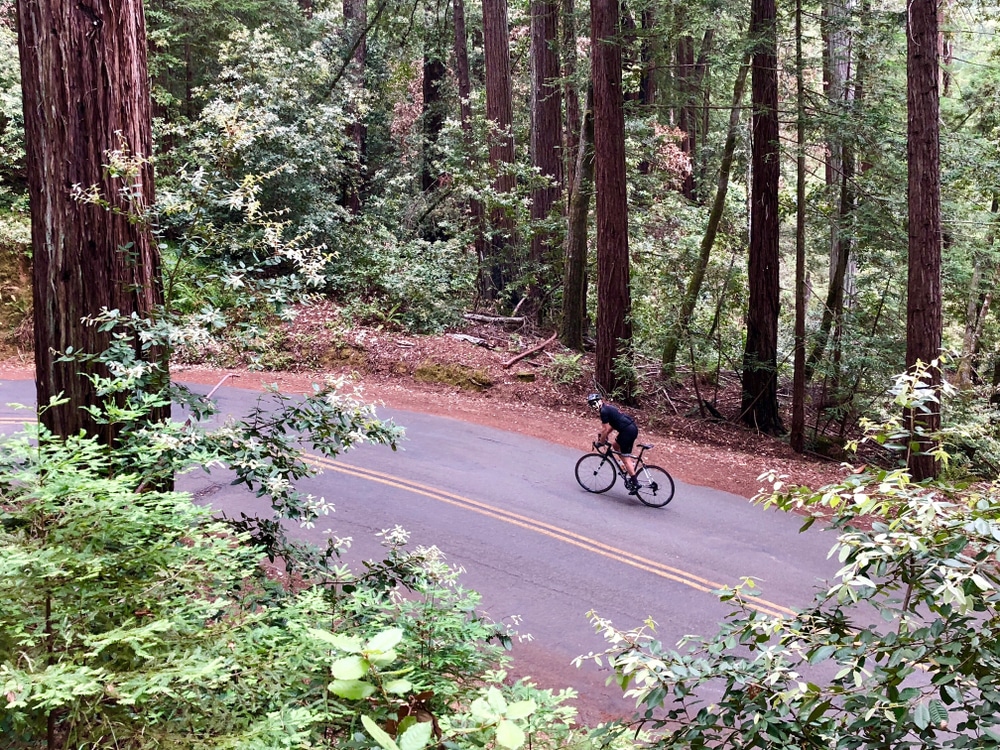 biking in Northern California