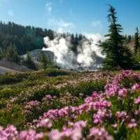 lassen volcanic park on a spring day