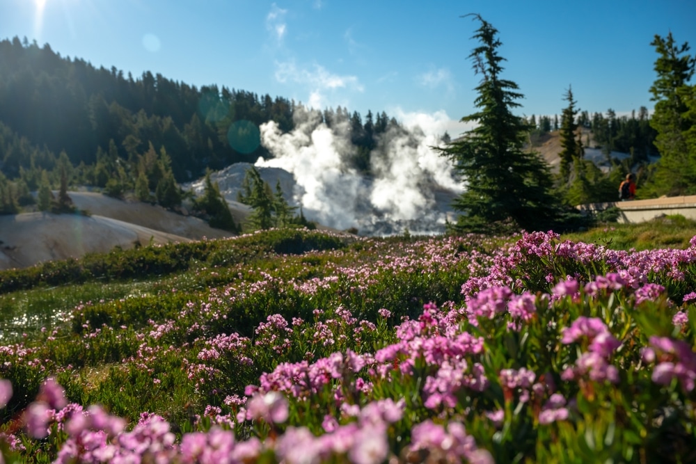lassen volcanic park on a spring day