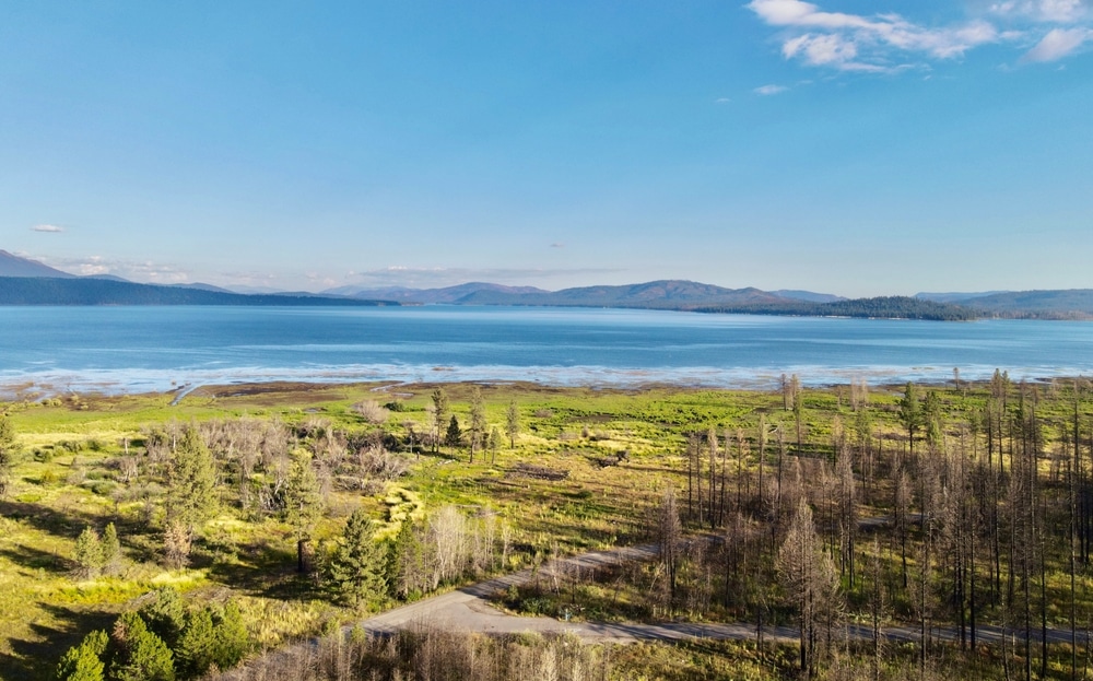 Lake Almanor is the perfect thing to do on your weekend getaways in Northern California.