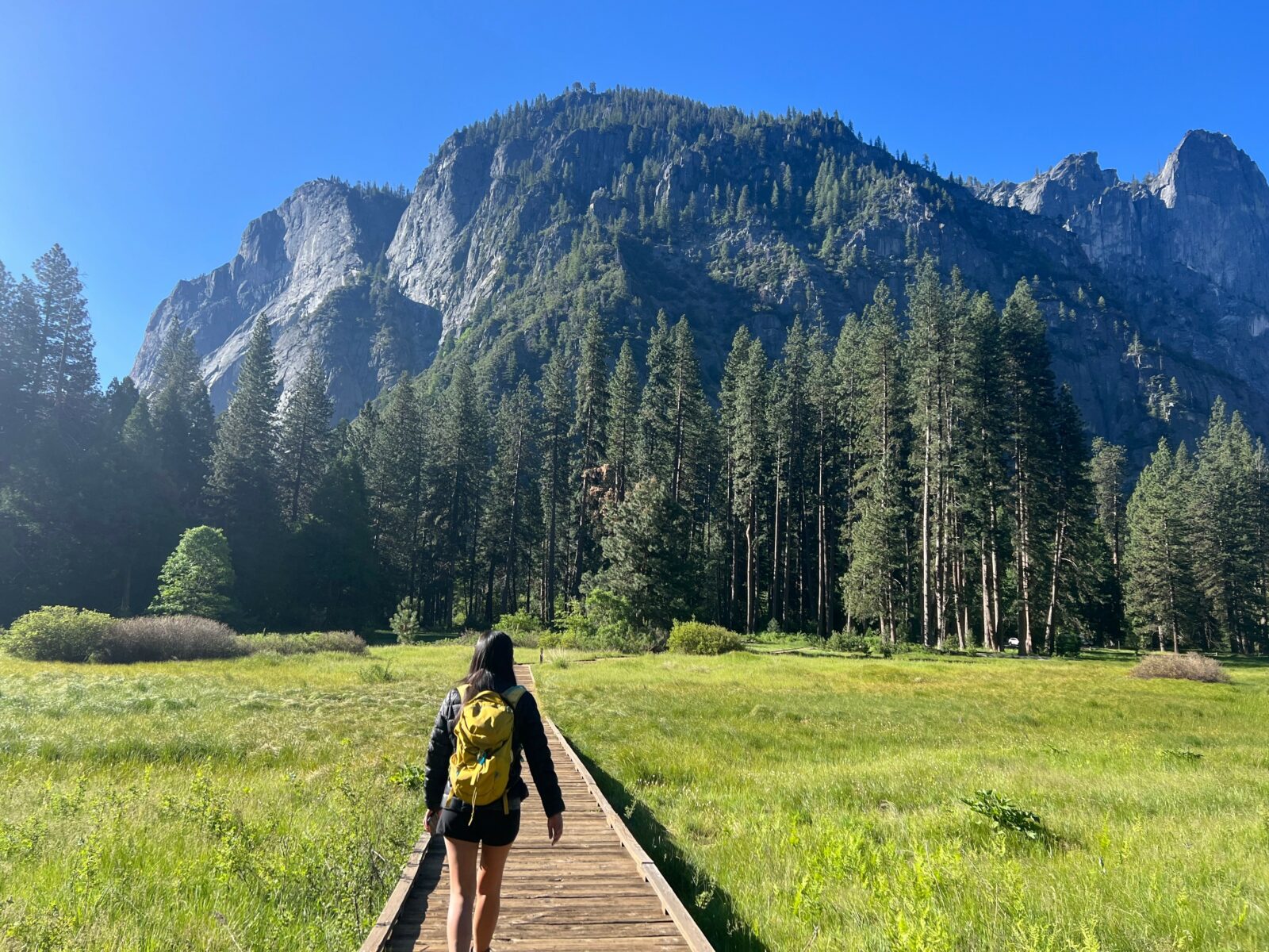 Yosemite is one of the best Northern California National Parks.