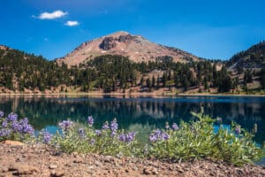 Lake Helen, wildflowers and Lassen Peak Trail