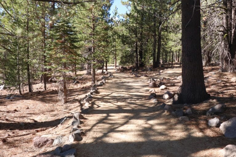 Devastated Area Trail in Lassen Volcanic Park.