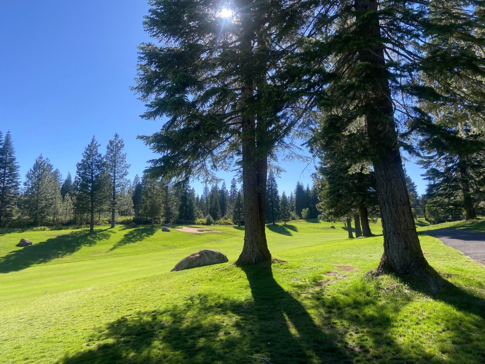 Lake Almanor Golf Course near Lassen National Park
