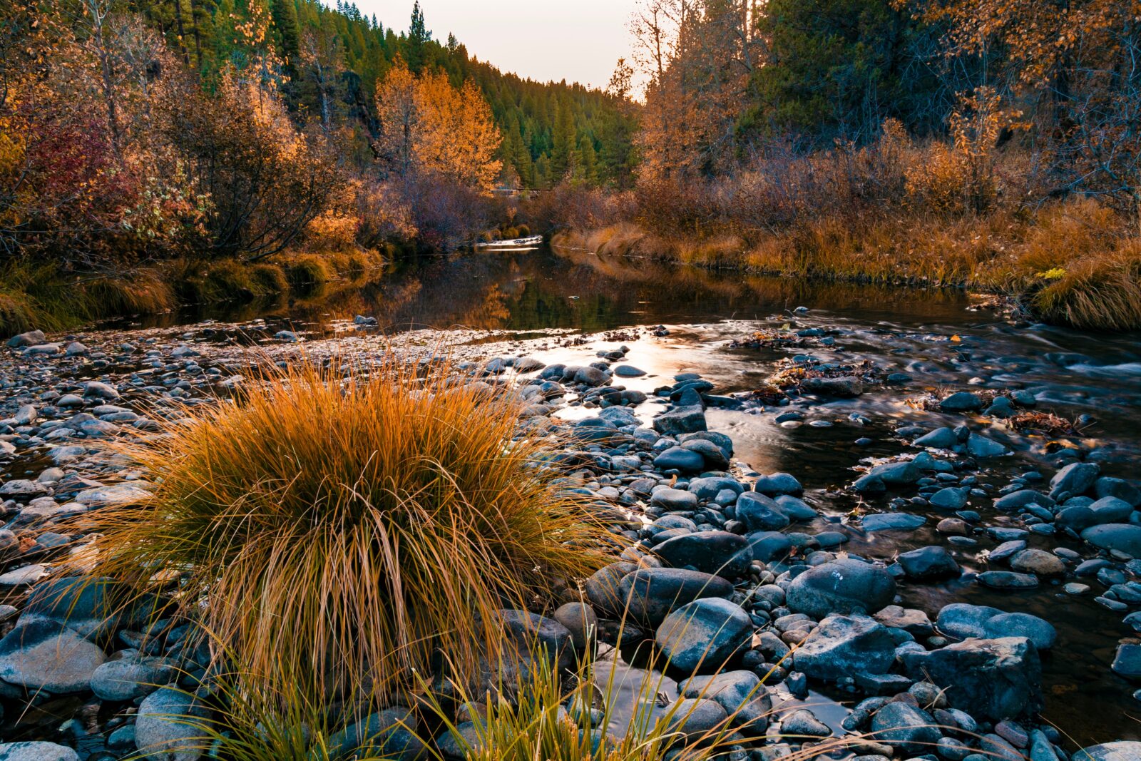 The Susan River adjacent to the Bizz Johnson National Recreation Trail, one of our favorite hikes for fall getaways in CA